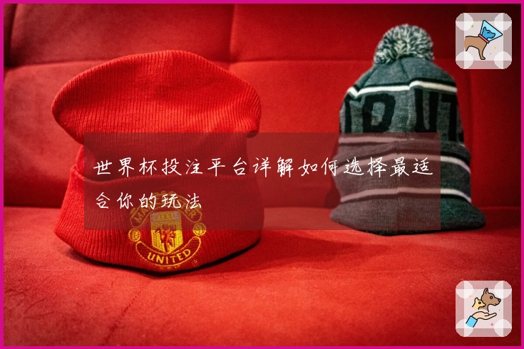 世界杯投注平台详解如何选择最适合你的玩法
