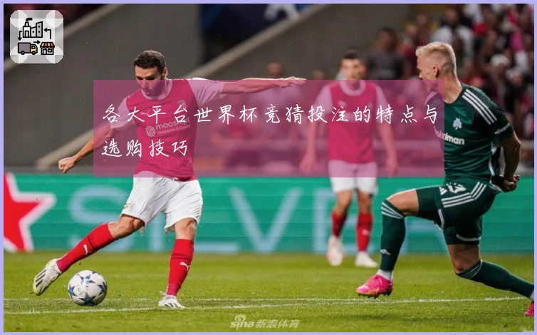 各大平台世界杯竞猜投注的特点与选购技巧