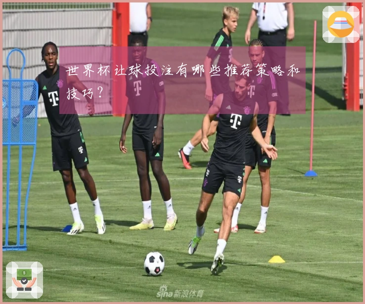 世界杯让球投注有哪些推荐策略和技巧？