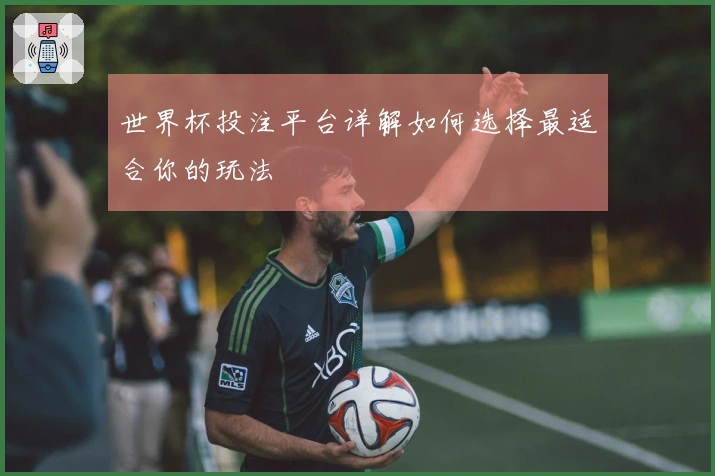 世界杯投注平台详解如何选择最适合你的玩法