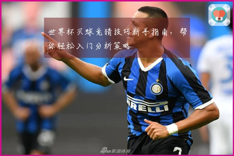 世界杯买球竞猜技巧新手指南，帮你轻松入门分析策略