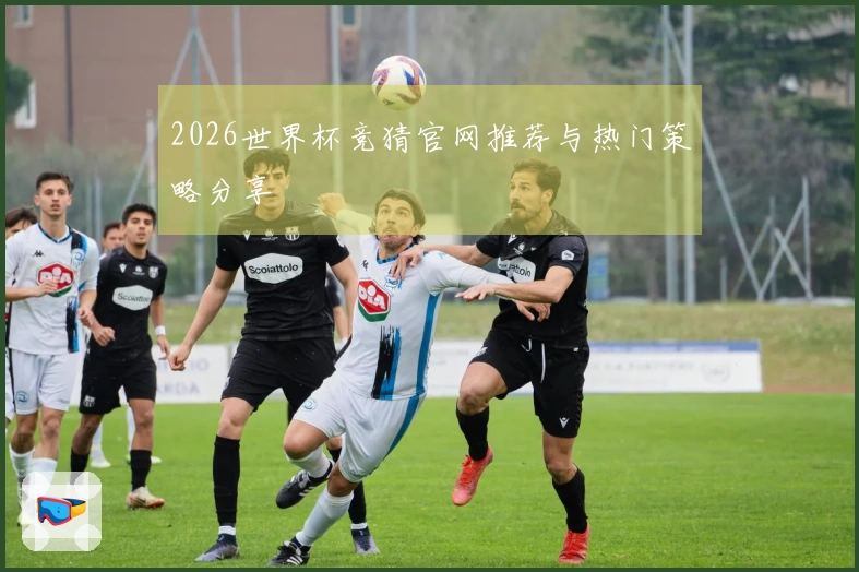 2026世界杯竞猜官网推荐与热门策略分享