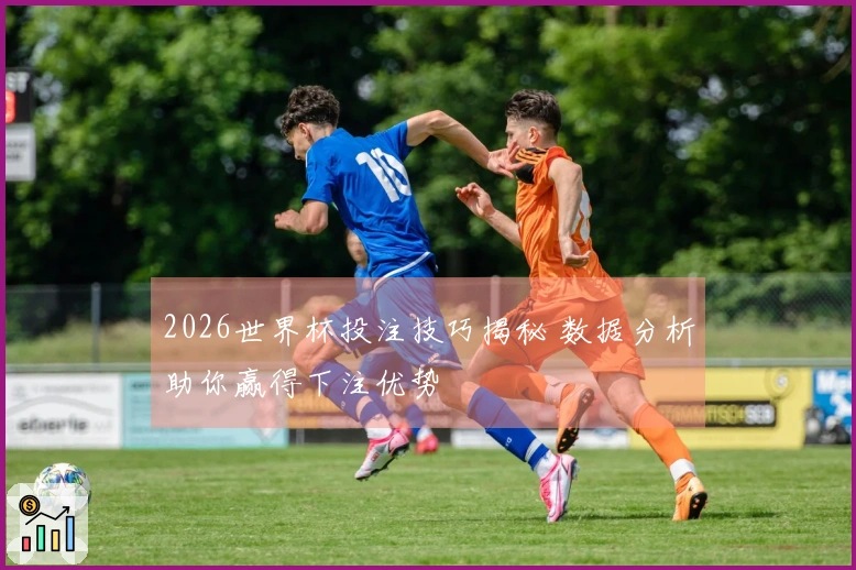 2026世界杯投注技巧揭秘 数据分析助你赢得下注优势