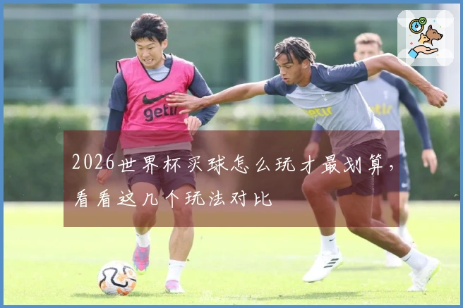 2026世界杯买球怎么玩才最划算，看看这几个玩法对比