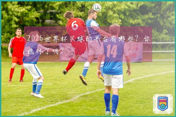 2026世界杯买球的平台有哪些？你选对了吗？